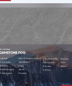 Gạch 60x120 Ấn Độ Novocera mã GEMSTONE FOG Men Matt GT Surface