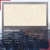 Gạch 60x120 Ấn Độ Novocera mã HARMONY GOLD Men Bóng