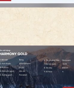 Gạch 60x120 Ấn Độ Novocera mã HARMONY GOLD Men Bóng