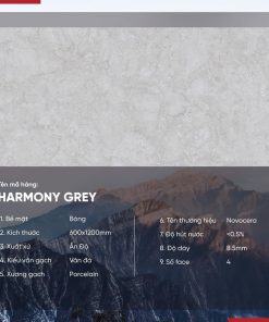Gạch 60x120 Ấn Độ Novocera mã HARMONY GREY Men Bóng