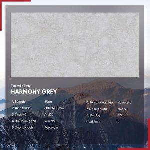 Gạch 60x120 Ấn Độ Novocera mã HARMONY GREY Men Bóng