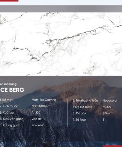 Gạch 60x120 Ấn Độ Novocera mã ICE BERG Men Matt Pro Caving