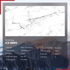 Gạch 60x120 Ấn Độ Novocera mã ICE BERG Men Matt Pro Caving