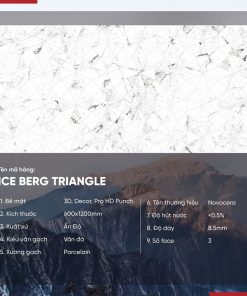 Gạch 60x120 Ấn Độ Novocera mã ICE BERG TRIANGLE Men Matt Pro HD Punch