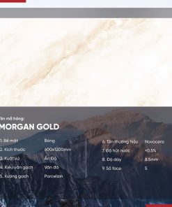 Gạch 60x120 Ấn Độ Novocera mã MORGAN GOLD Men Bóng