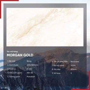 Gạch 60x120 Ấn Độ Novocera mã MORGAN GOLD Men Bóng