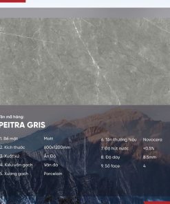 Gạch 60x120 Ấn Độ Novocera mã PEITRA GRIS Men MattGạch 60x120 Ấn Độ Novocera mã PEITRA GRIS Men Matt
