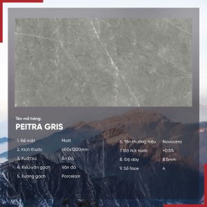 Gạch 60x120 Ấn Độ Novocera mã PEITRA GRIS Men MattGạch 60x120 Ấn Độ Novocera mã PEITRA GRIS Men Matt