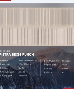 Gạch 60x120 Ấn Độ Novocera mã PIETRA BEIGE PUNCH Men Matt Grid Punch 3D