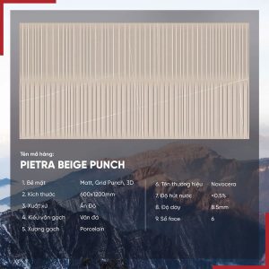 Gạch 60x120 Ấn Độ Novocera mã PIETRA BEIGE PUNCH Men Matt Grid Punch 3D