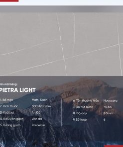 Gạch 60x120 Ấn Độ Novocera mã PIETRA LIGHT Men Matt Satin