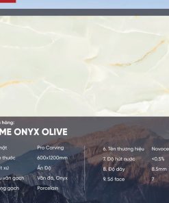 Gạch 60x120 Ấn Độ Novocera mã PRIME ONYX OLIVE Men Matt Pro Carving