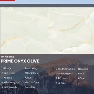 Gạch 60x120 Ấn Độ Novocera mã PRIME ONYX OLIVE Men Matt Pro Carving