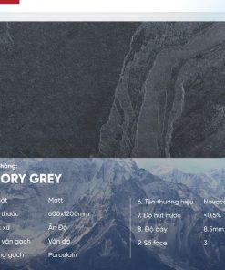 Gạch 60x120 Ấn Độ Novocera mã RENORY GREY Men Matt