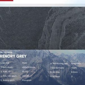 Gạch 60x120 Ấn Độ Novocera mã RENORY GREY Men Matt