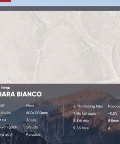 Gạch 60x120 Ấn Độ Novocera mã SAHARA BIANCO Men Matt
