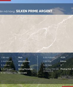 Gạch 60x120 Ấn Độ Novocera mã SILKEN PRIME ARGENT Men Matt