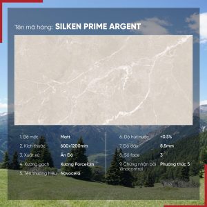 Gạch 60x120 Ấn Độ Novocera mã SILKEN PRIME ARGENT Men Matt