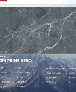 Gạch 60x120 Ấn Độ Novocera mã SILKEN PRIME NERO Men Matt