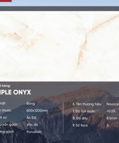 Gạch 60x120 Ấn Độ Novocera mã SIMPLE ONYX Men Bóng