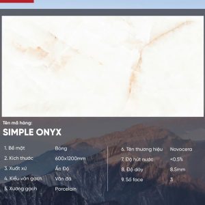Gạch 60x120 Ấn Độ Novocera mã SIMPLE ONYX Men Bóng