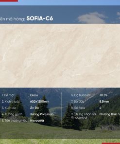 Gạch 60x120 Ấn Độ Novocera mã SOFIA-C6 Men Bóng