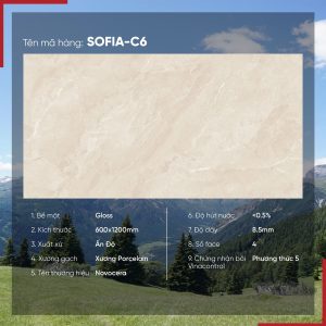 Gạch 60x120 Ấn Độ Novocera mã SOFIA-C6 Men Bóng