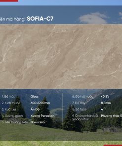 Gạch 60x120 Ấn Độ Novocera mã SOFIA-C7 Men Bóng