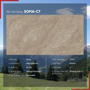 Gạch 60x120 Ấn Độ Novocera mã SOFIA-C7 Men Bóng