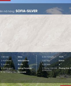 Gạch 60x120 Ấn Độ Novocera mã SOFIA-SILVER Men Bóng