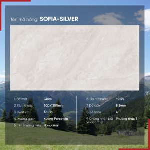 Gạch 60x120 Ấn Độ Novocera mã SOFIA-SILVER Men Bóng
