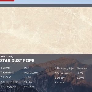 Gạch 60x120 Ấn Độ Novocera mã STAR DUST ROPE Men Matt