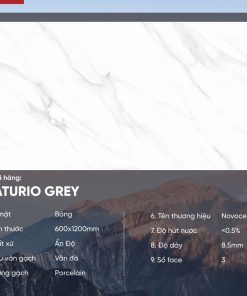 Gạch 60x120 Ấn Độ Novocera mã STATURIO GREY Men Bóng