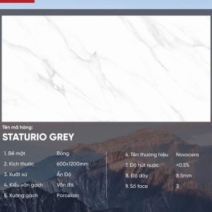 Gạch 60x120 Ấn Độ Novocera mã STATURIO GREY Men Bóng