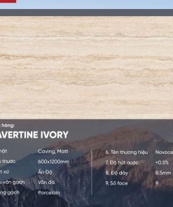 Gạch 60x120 Ấn Độ Novocera mã TRAVERTINE IVORY Men Matt Carving
