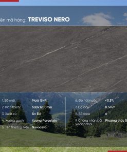 Gạch 60x120 Ấn Độ Novocera mã TREVISO NERO Men Matt GHR