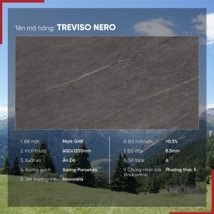 Gạch 60x120 Ấn Độ Novocera mã TREVISO NERO Men Matt GHR