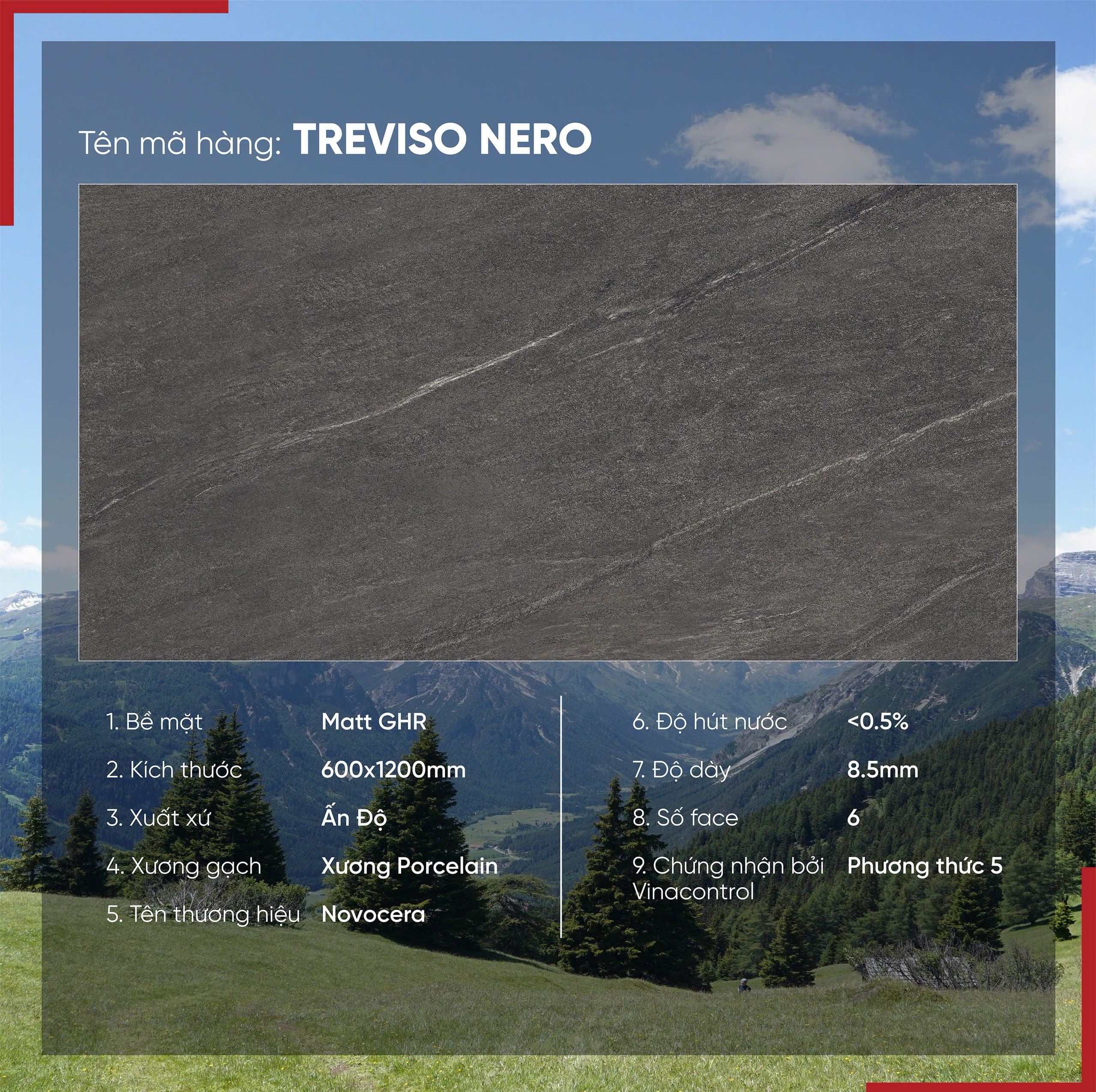 Gạch 60x120 Ấn Độ Novocera mã TREVISO NERO Men Matt GHR