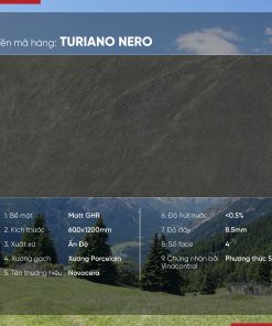 Gạch 60x120 Ấn Độ Novocera mã TURIANO NERO Men Matt GHR