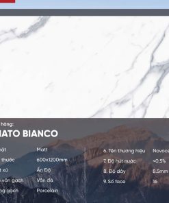 Gạch 60x120 Ấn Độ Novocera mã VENATO BIANCO Men Matt