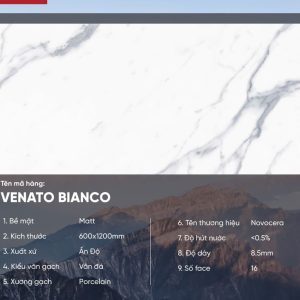 Gạch 60x120 Ấn Độ Novocera mã VENATO BIANCO Men Matt