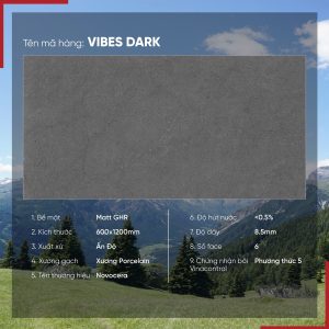 Gạch 60x120 Ấn Độ Novocera mã VIBES DARK Men Matt GHR