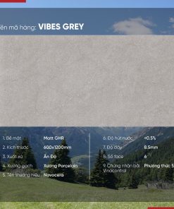 Gạch 60x120 Ấn Độ Novocera mã VIBES GREY Men Matt GHR
