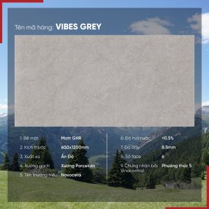 Gạch 60x120 Ấn Độ Novocera mã VIBES GREY Men Matt GHR