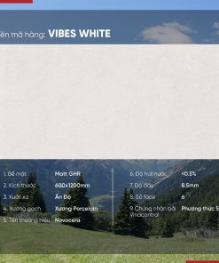 Gạch 60x120 Ấn Độ Novocera mã VIBES WHITE Men Matt GHR