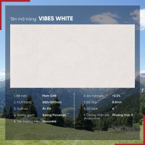 Gạch 60x120 Ấn Độ Novocera mã VIBES WHITE Men Matt GHR