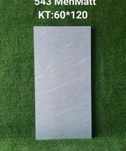 Gạch 60x120 Ấn Độ mã 543 men matt