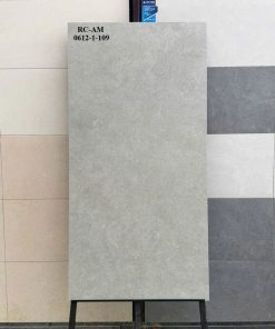 Gạch 60x120 Ấn Độ mã RC-AM 0612-1-109