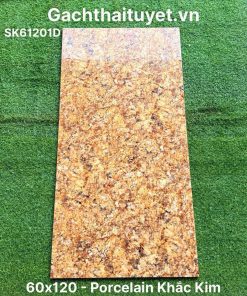 Gạch 60x120 Ấn Độ mã SK61201D