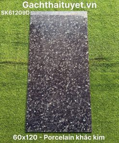 Gạch 60x120 Ấn Độ mã SK61209D
